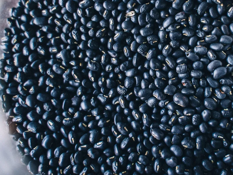 Small black pulses in bulk