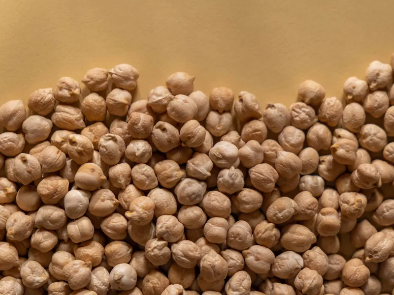 Dried kabuli chickpeas in bulk