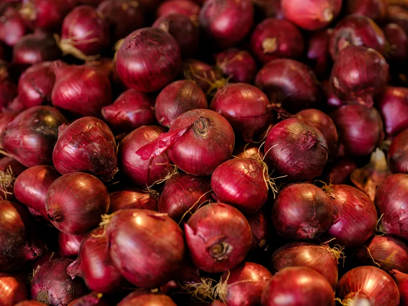 Red onions, cured and graded, in bulk