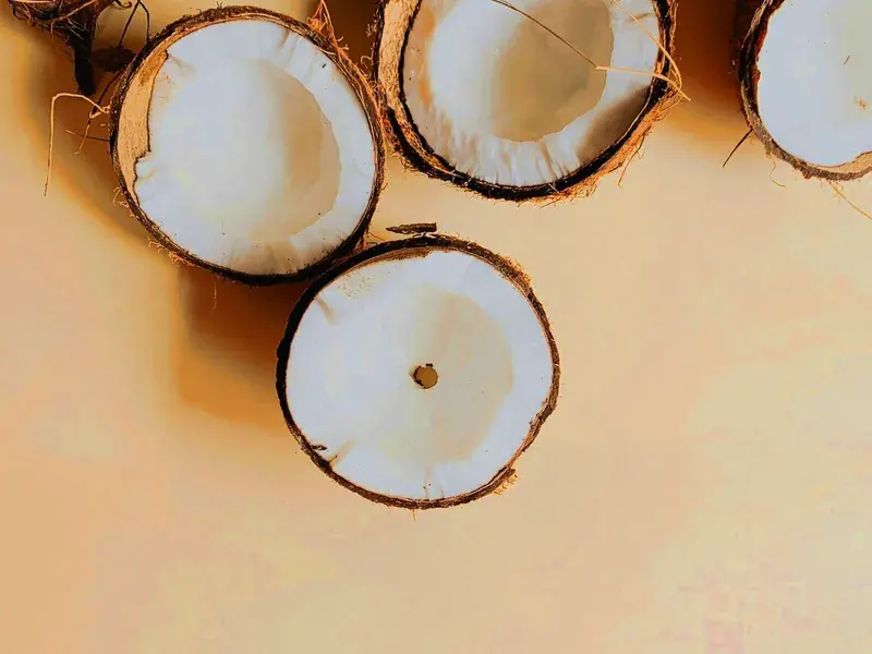Halved mature coconuts showing white flesh