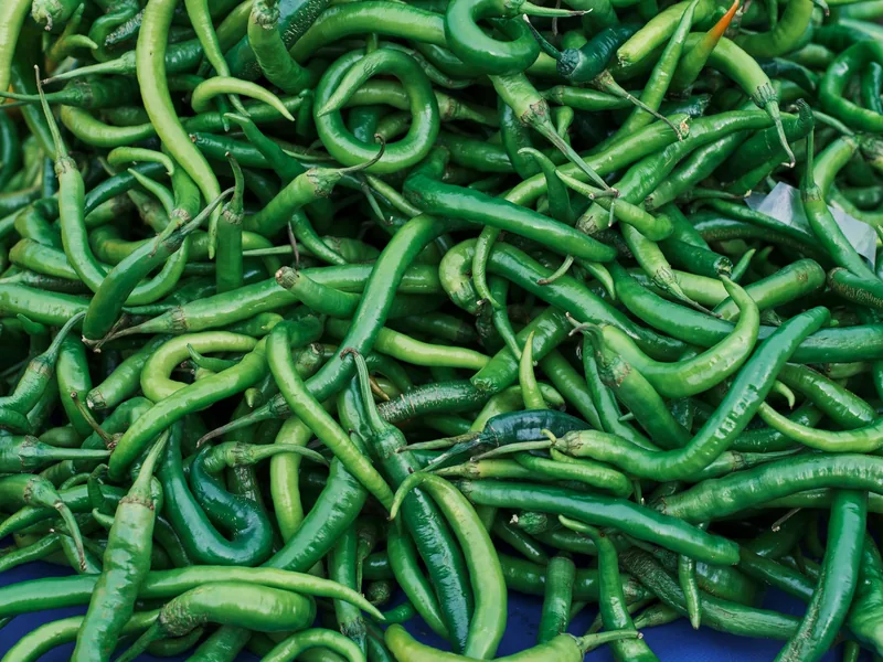 Fresh long green chillies in bulk