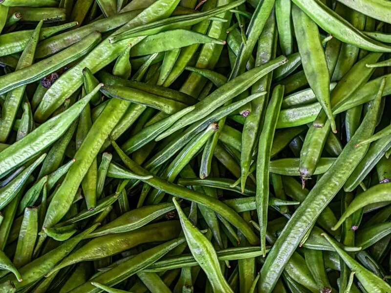 Fresh guar cluster bean pods