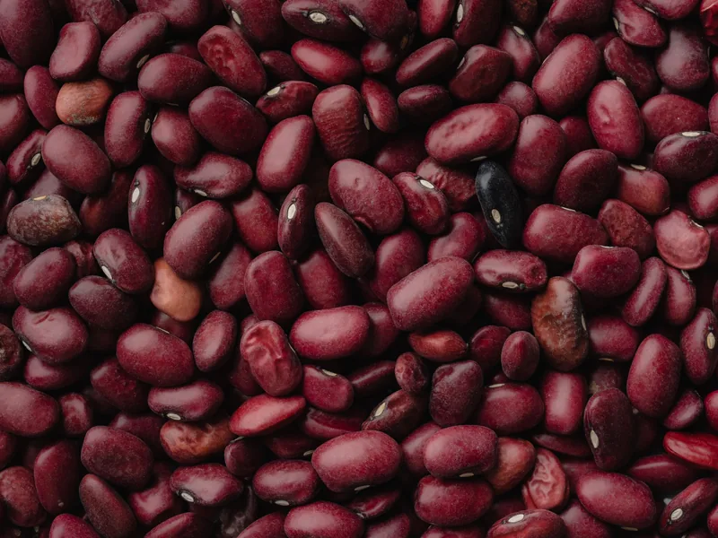 Red kidney beans in bulk