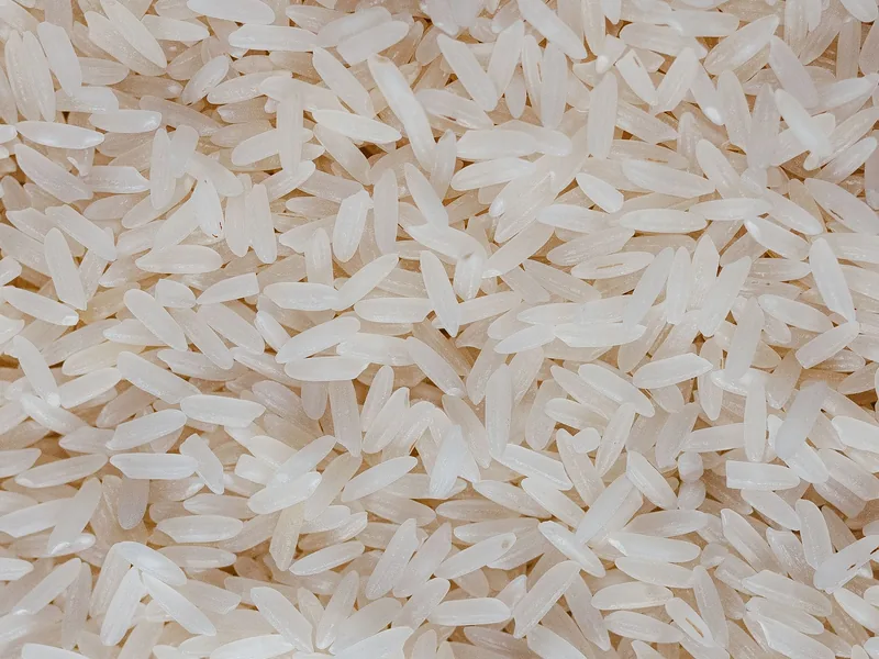 Milled white rice grains in close detail