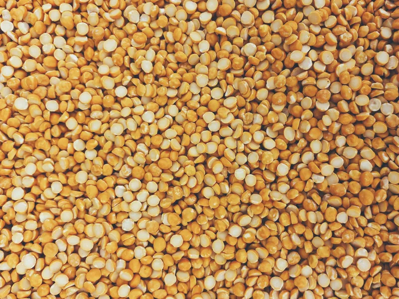 Split yellow pigeon pea dal in close detail