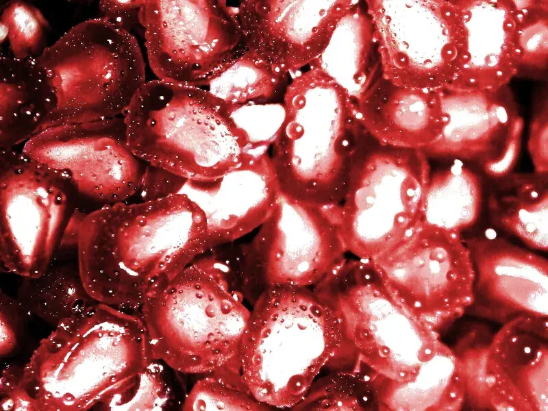 Glistening pomegranate arils in close detail