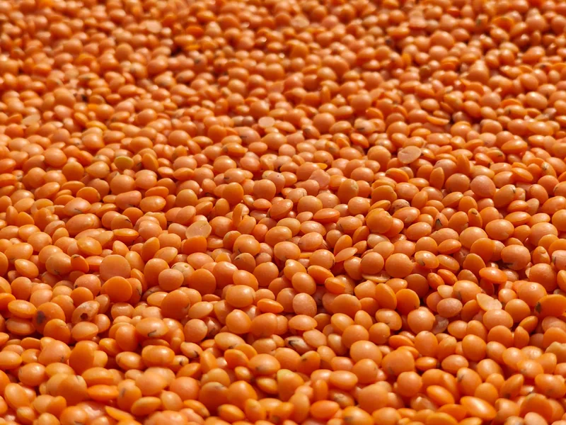 Split red lentils in bulk
