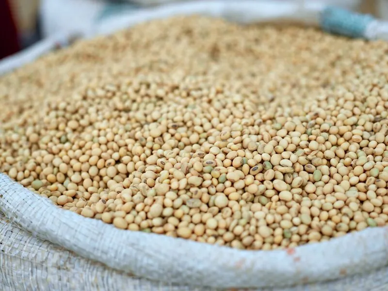 Soybeans in a woven bulk bag